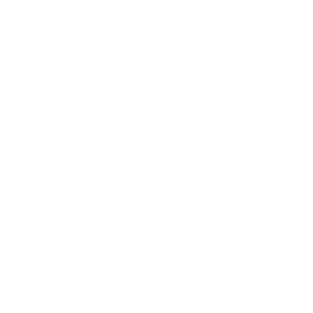 Summit Point Leadership